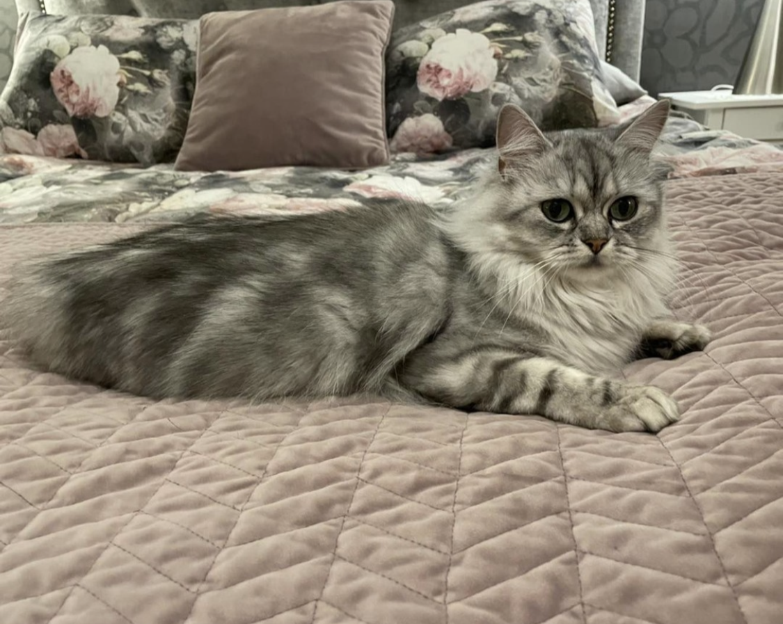 Elize som ligger i en säng